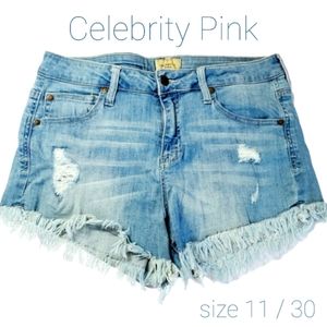 SHORTS Jeans Raw Hem | Celebrity Pink Size 11 / 30